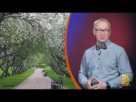 Всё обо всём. Яблоневый город. Выпуск от 23.04.26