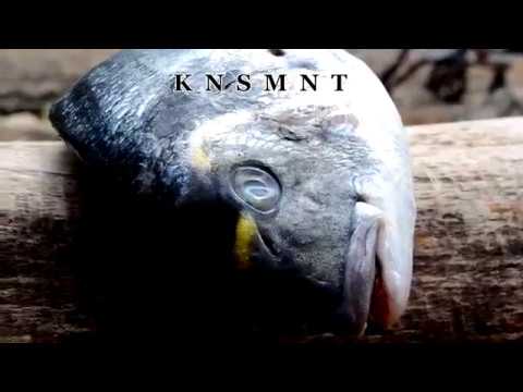 KNSMNT - 100 Quadratmeter (Official Music Video)