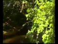 SKANK -- DOIS RIOS - VÍDEO - CLASSIC ROCK ...