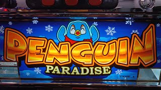 【ペンギンパラダイス】実機配信