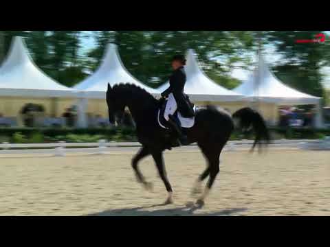 Sezuan Sieg Kranichstein 2017 1