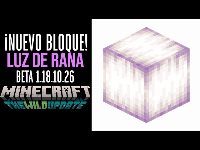 Vídeo relacionado con Minecraft: Guía oficial de bloques (HARPERCOLLINS)