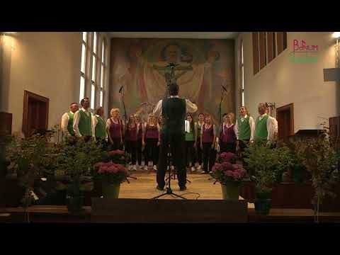 BONUM CANTUM - A bissl Glück