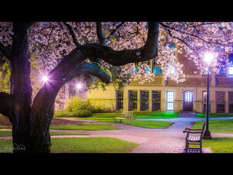 Amazing Nature of Washington State - 5 HRS of Nature Wallpapers Slideshow in 4K UHD