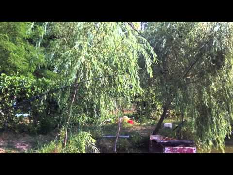 Crap 1,8 kg la Otvesti: primul peste "adevarat" pentru Victor