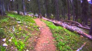 POV of the entire Greysil trail.  Thanks to the local who adopted this trail.