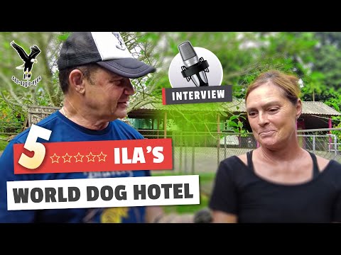 5 Sterne Hundehotel mit Jam bei Ilaria Nyáry-Normann auf Koh Samui Thailand