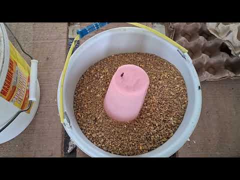 BUMDes Ayam Petelur Desa Sungai Riam