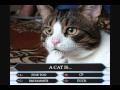 Rules Of The Internet