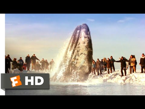 Big Miracle (2012) - Breaking Free Scene (10/10) | Movieclips