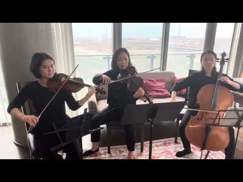 Promotional video thumbnail 2 for Golden Hour Strings