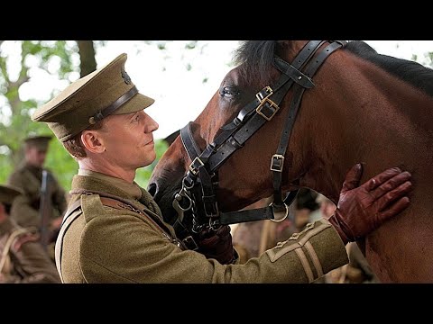 A War Horse Experiences The Battles In France Before Reunite With His Owner