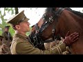 A War Horse Experiences The Battles In France Before Reunite With His Owner
