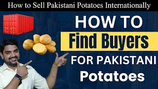 How to Sell Pakistani Potatoes Internationally - How to Find Buyer for Pakistan Potatoes