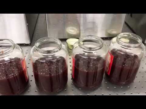 HyTek Liquid Filler - 1000cc Single Head