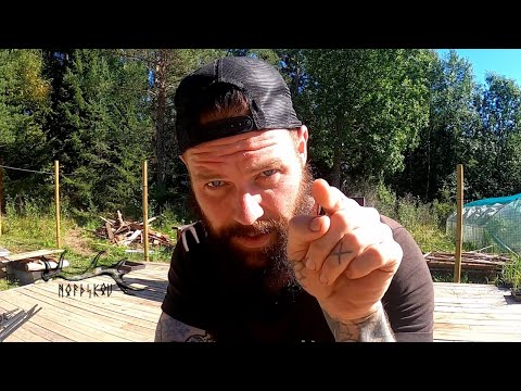 , title : 'Food in a Northern climate vlog | Living off the land off grid'