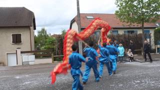 preview picture of video 'carnaval de hagondange 2014 : le dragon'