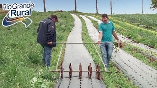 Miniatura do vídeo