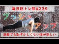 【筋トレ】ホームトレーニー毎日筋トレ部#238!薄着になる季節がやってきましたねープッシュアップー