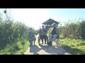 Vogelkijkhut de zeearend geopend door Wethouder