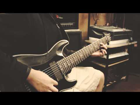 Noiseware - Paraflight (Guitar Playthrough)