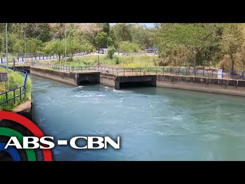 Dr Wolf paraan ng pagbaba ng timbang Slimming Svetlana ahtarovoy lahat ng mga larawan