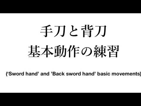 Budo Karate 'Shuto' and 'Haito' basic movements
