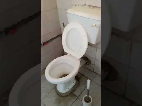 Mini Flat to Let at Ezeagwu Street, Oke-Afa