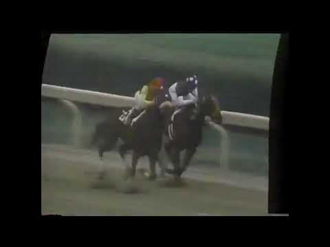 The Name Behind the Race: The Dance Smartly