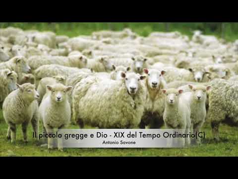 Il piccolo gregge e Dio - XIX del Tempo Ordinario (C)