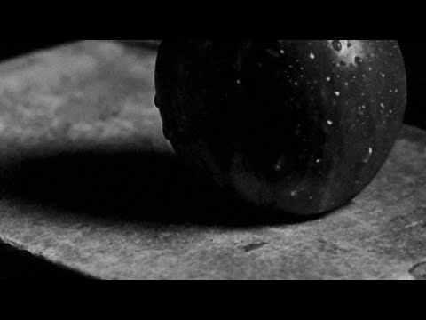 Shadow Of You - Satin Jackets feat. David Harks