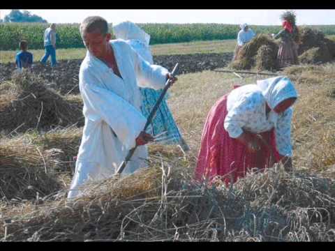 VEČAR MAJOVI - Mikola KORPAŠ