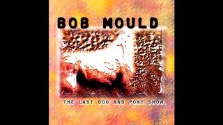 Bob Mould - Vaporub