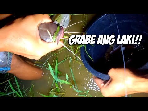 EP221.P1: MALALAKING DALAG AT HITO ANG NAHULI NG KITANG