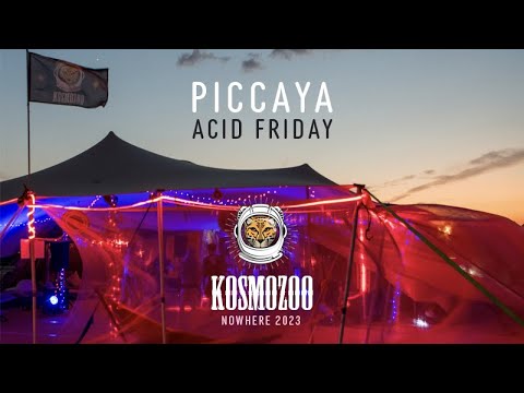 Piccaya @ Nowhere 2023 // Kosmozoo (Acid Friday)