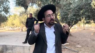 שמחת המשפט בראש-השנה | הרב אליהו ובר (ישיבת הר הבית) - התמונה מוצגת ישירות מתוך אתר האינטרנט יוטיוב. זכויות היוצרים בתמונה שייכות ליוצרה. קישור קרדיט למקור התוכן נמצא בתוך דף הסרטון שמחת המשפט בראש-השנה | הרב אליהו ובר (ישיבת הר הבית) - התמונה מוצגת ישירות מתוך אתר האינטרנט יוטיוב. זכויות היוצרים בתמונה שייכות ליוצרה. קישור קרדיט למקור התוכן נמצא בתוך דף הסרטון