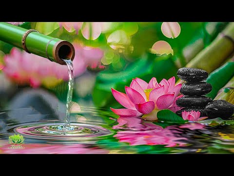 Relaxing Healing Music – Calm Overthinking, Stress Relief, Sleep and Peaceful Rest
