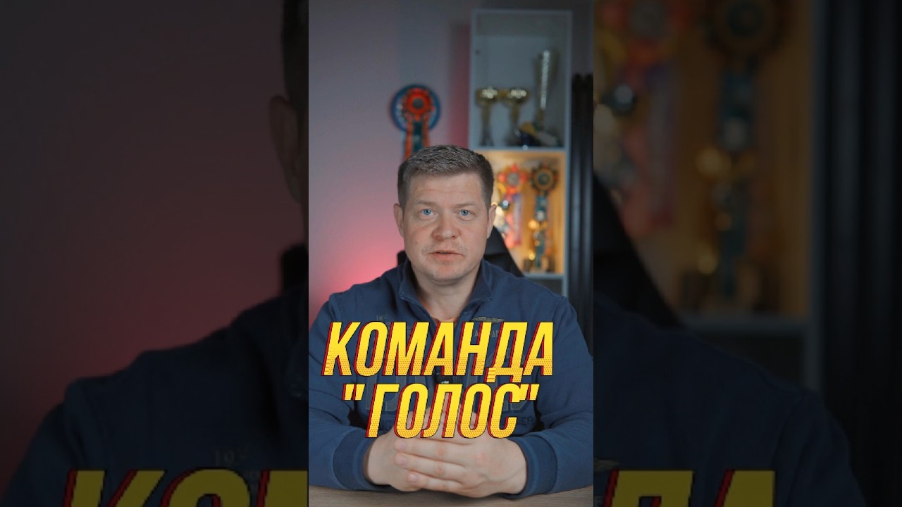 Как выучить с собакой команду голос и научить гавкать по команде?