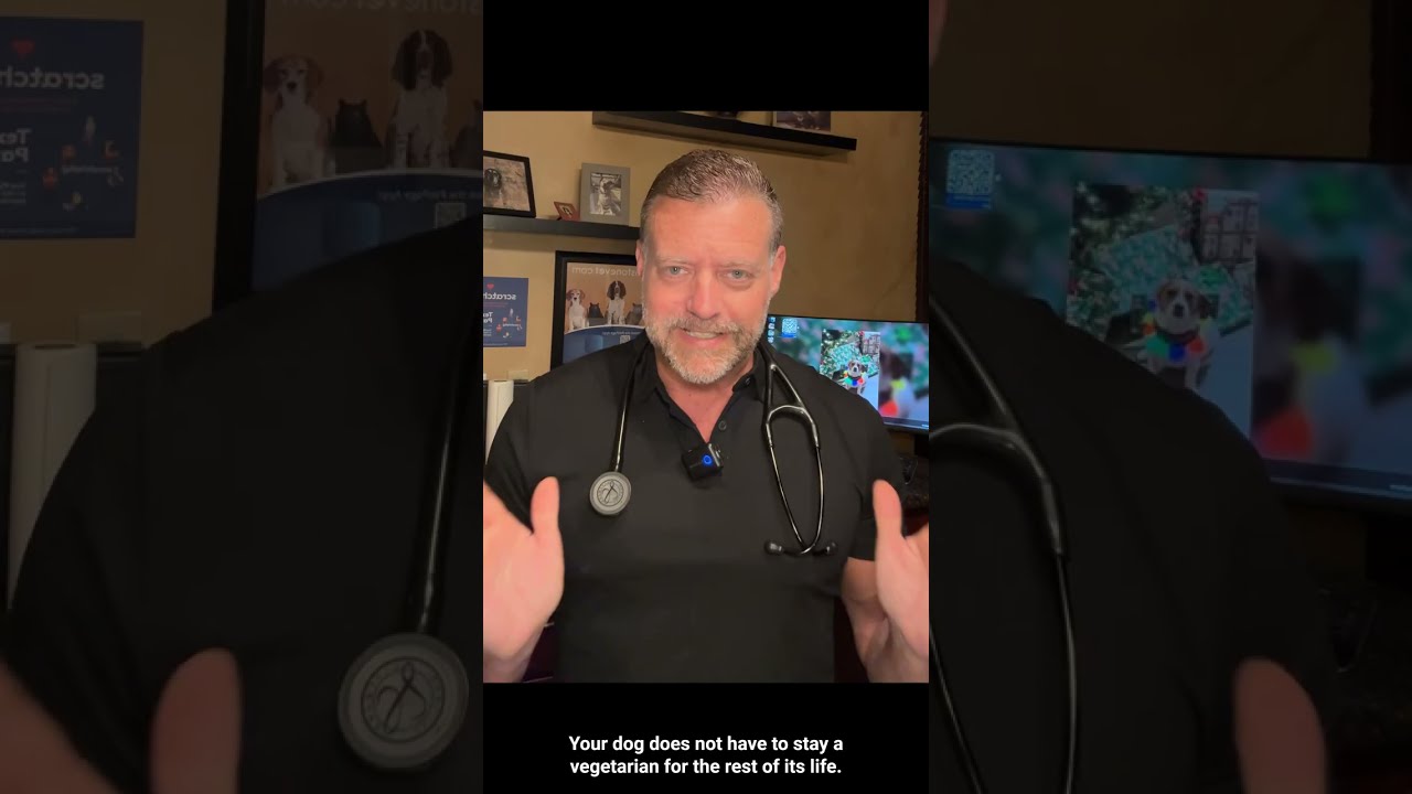 Dr. Pelton explains the 3 causes of itching/allergies