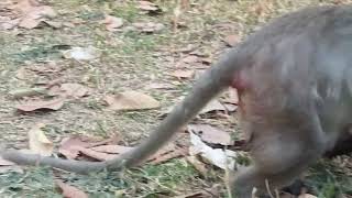 VID20250114170458 play 14