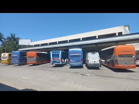 MOVIMENTAÇÃO DE ÔNIBUS NA RODOVIÁRIA DE VENDA NOVA DO IMIGRANTE (ES) | GONTIJO, ÁGUIA BRANCA, REAL