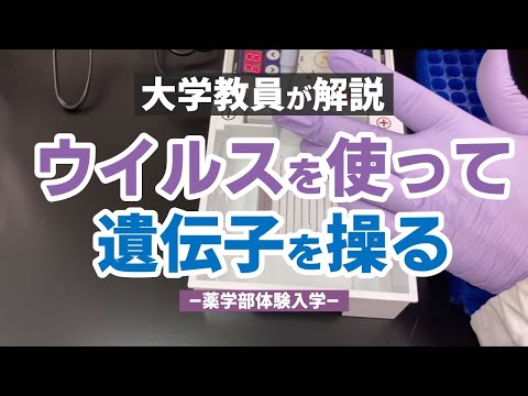 表現文化学科 ウイルスを使って、遺伝子を操る【体験入学＆研究室公開】