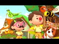 Learn About These AMAZING INSECTS Leo S3 Spinoff Compilation Mediacorpokto