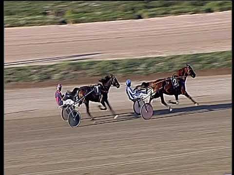 Trotto 04/10/2019 - prova di riqualifica