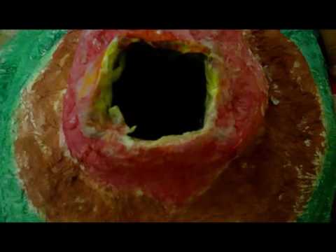 Vídeo Colegio Arrayanes