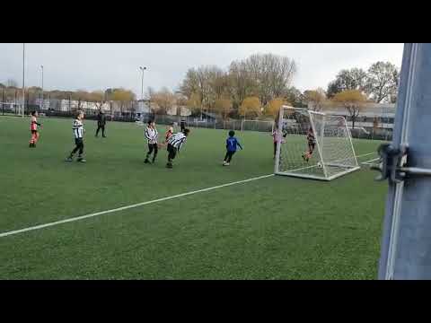 Dbs-exelsior20.jo11-1