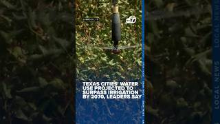 Texas cities' water use projected to surpass irrigation by 2070, leaders say