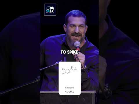 "Unlock Memory Retention Secrets with Andrew Huberman: Adrenaline Boost After Studying"