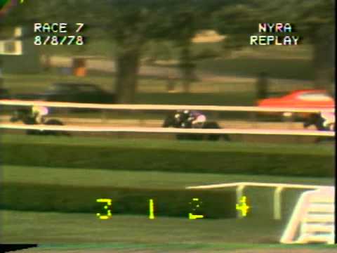 John Henry - Allowance - Saratoga Race Course - 8/8/1978