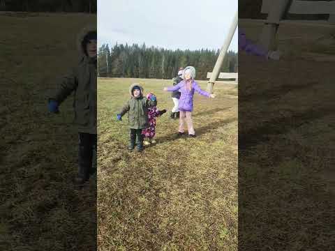 Audrija - Dulla diena. @ Raimonds Pauls, @ Guntars Račs. #song #music